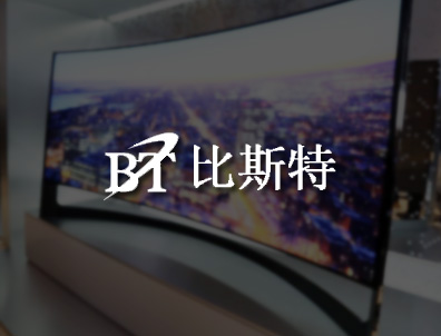 深圳比斯特建站案列
